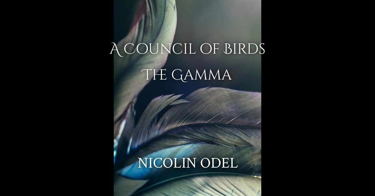 You are currently viewing A Council of Birds: The Gamma